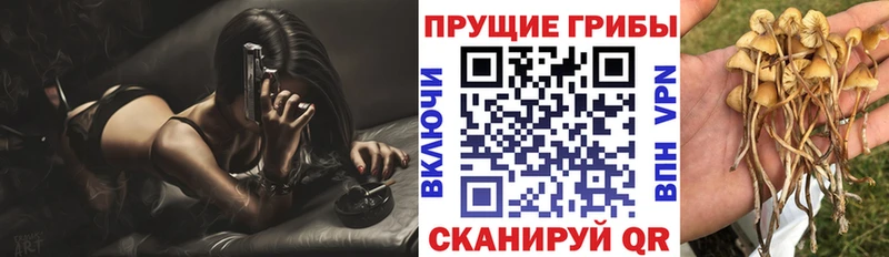Псилоцибиновые грибы мицелий Лакинск